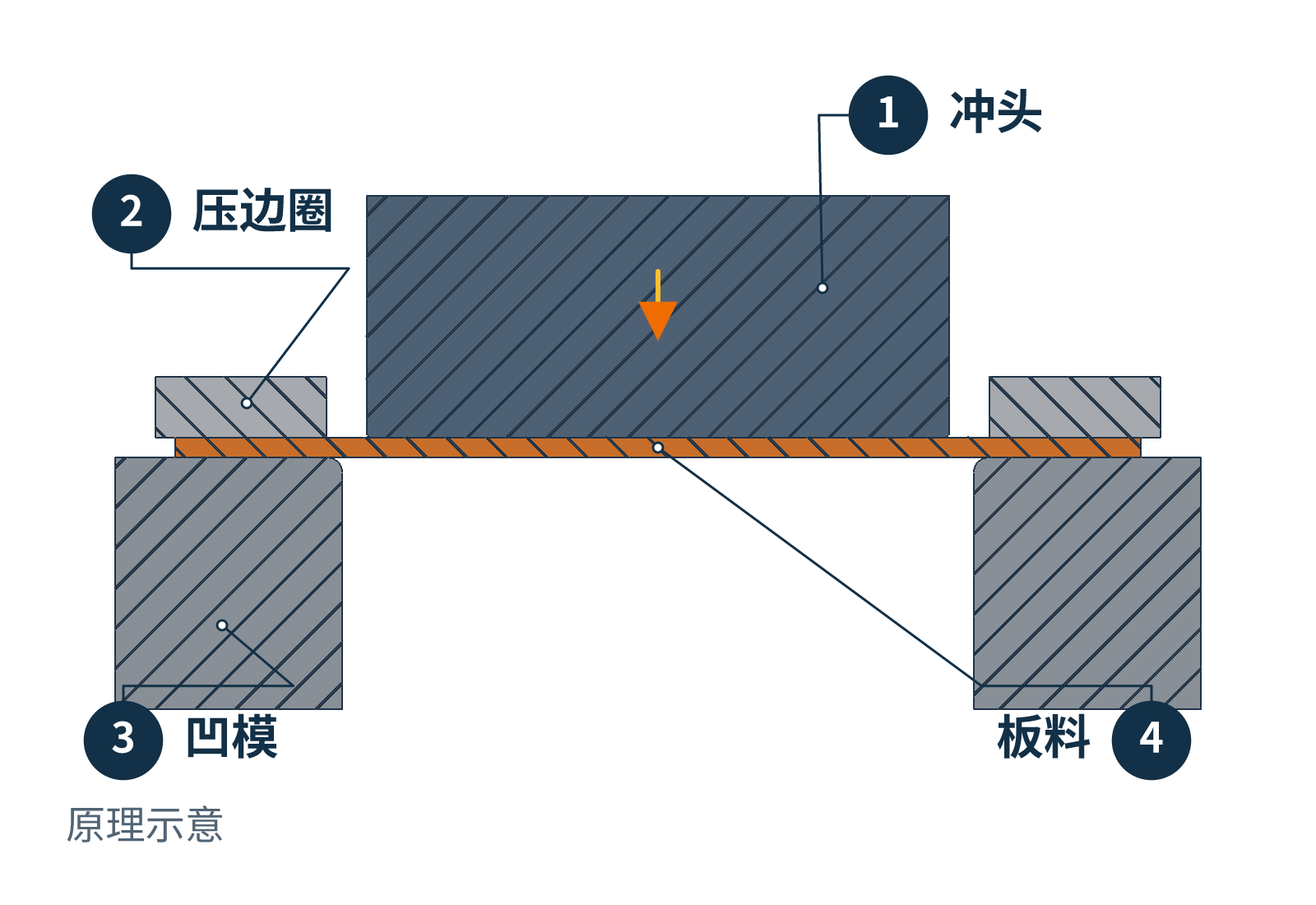 浅壳拉深原理动图,冲头下行,外围板料进入凹模并形成侧壁